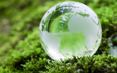 Competition in the Green Economy