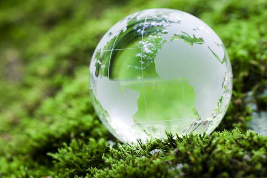 Competition in the Green Economy